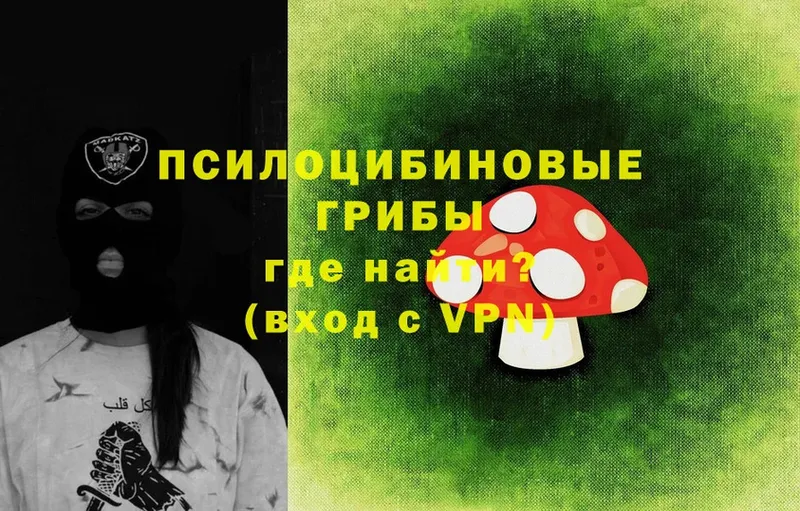 Галлюциногенные грибы Magic Shrooms  купить   Баймак 