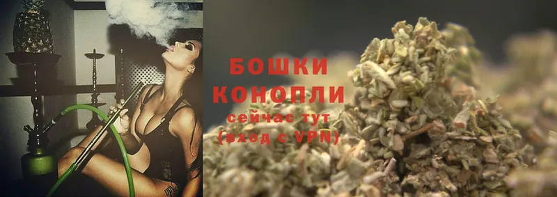 купить наркотик  Баймак  Бошки Шишки White Widow 